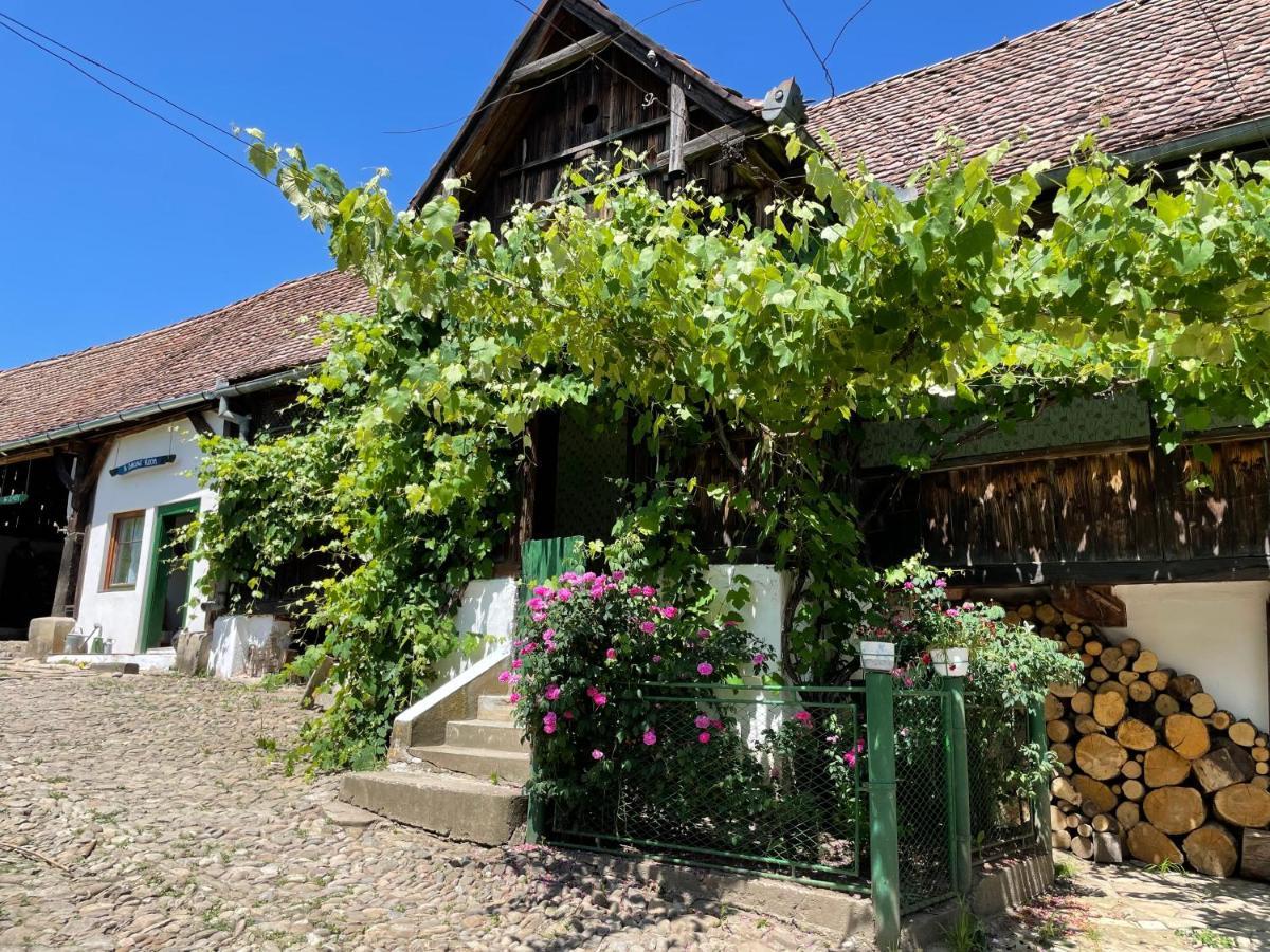 Saschiz 130/Lodging And Glamping 外观 照片