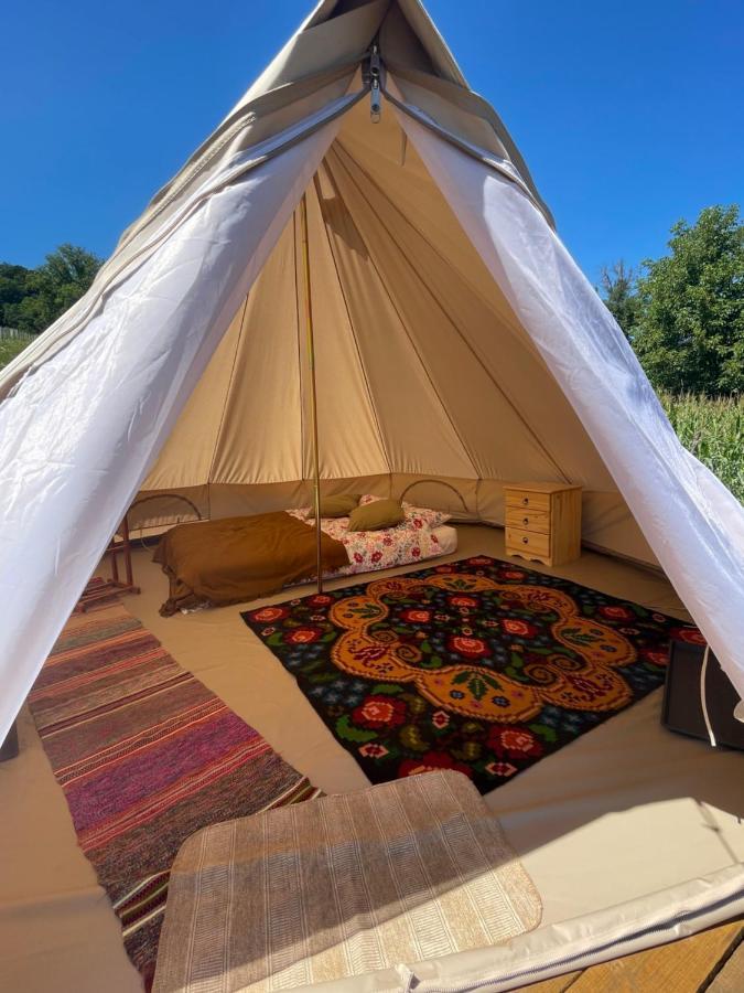 Saschiz 130/Lodging And Glamping 外观 照片