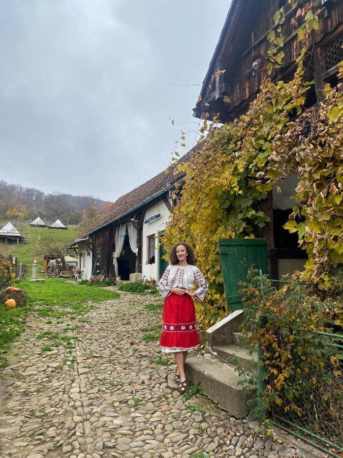 Saschiz 130/Lodging And Glamping 外观 照片