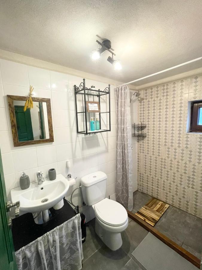 Saschiz 130/Lodging And Glamping 外观 照片
